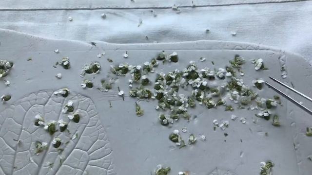 Christmas/Winter Home Decor/Gypsum Panel/Tutorial/Рождество/Гипсовое Панно/Мастер-класс смотреть онлайн