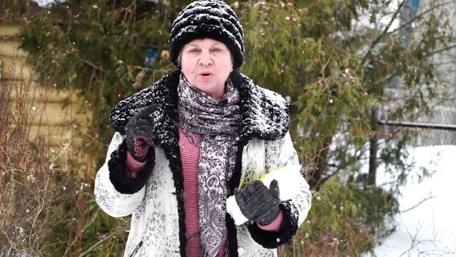 Стоит ли разбрасывать мочевину по снегу? ? Советы садоводам от HITSAD TV смотреть онлайн