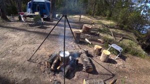 Рыбалка, Рыбинское водохранилище, Молога, весенний лес