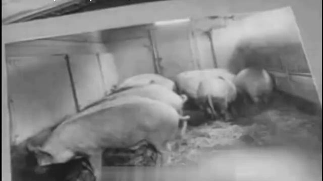 Новинки ЭКСПО 1524 МПС СССР 1955 год часть 2 смотреть онлайн