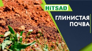 Глинистая Почва Что делать?  Улучшить Почву  Советы садоводам от Хитсад ТВ