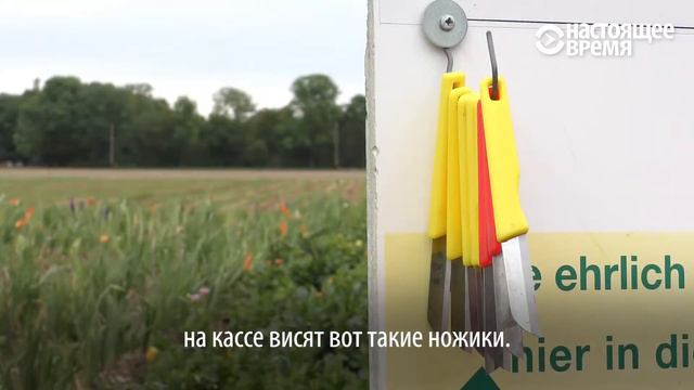Загнивающая Европа Люди честно бросают деньги в кассу, хотя их никто не контролирует смотреть онлайн