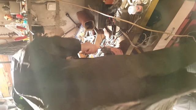 Не заводится Hyundai. Ремонт втягивающего реле стартера своими руками. смотреть онлайн