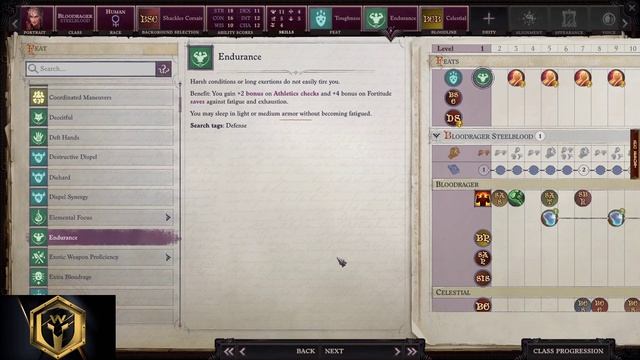 Pathfinder: WotR - Steelblood Bloodrager Starting Build - Beginner's Guide [2021] [1080p HD] смотреть онлайн