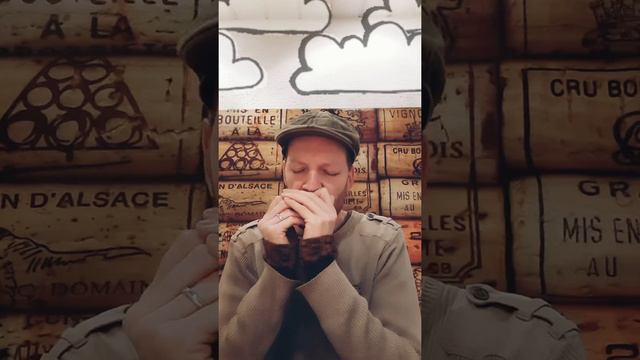 Tom Fowler's Hornpipe - Harmonica (+Tabs) смотреть онлайн