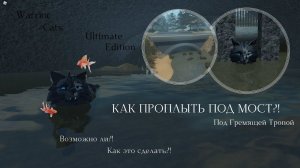 КАК ПРОПЛЫТЬ ПОД МОСТ?! В WC:UE! | Warrior Cats: Ultimate Edition - Roblox