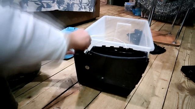 Туман из старой кофеварки.Голубика.Любые черенки дадут корни. Домашний череночник. смотреть онлайн
