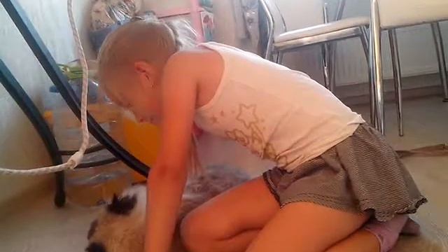 Ругаем кошку смотреть онлайн