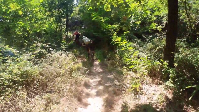 Bikers dal sabba rive rosse con Mark 20220813 029 смотреть онлайн