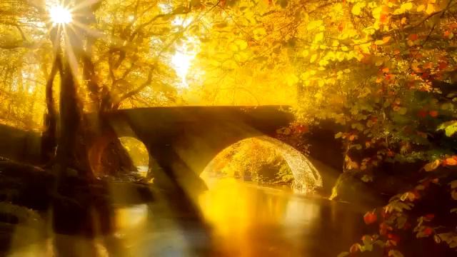 К Антарова Две жизни Часть 2 смотреть онлайн