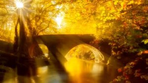 К  Антарова  Две жизни  Часть 2