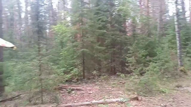 Моя ФИШКА. Отличная идея удлинить ИЗБУ! Домик в лесу из валежника. DIY. смотреть онлайн