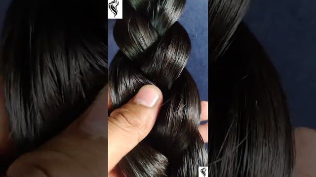 Braid Checking || Braid Play By Brother || Rapunzel Sri || Long Hair Dunia