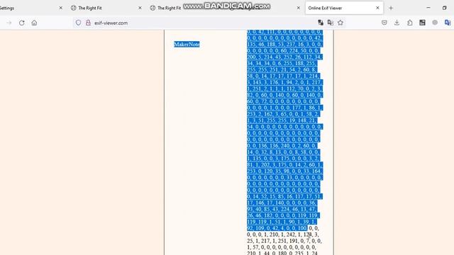 P3 Bug || Exif Metadata / Information Disclosure || BugBounty смотреть онлайн