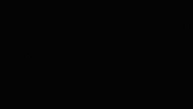 Zoboomafoo with the Kratt Brothers! EGGS | Full Episodes Compilation смотреть онлайн