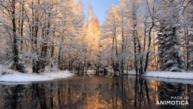 Остап Козловский