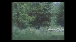 Выдающийся пчеловод Пётр Прокопович.