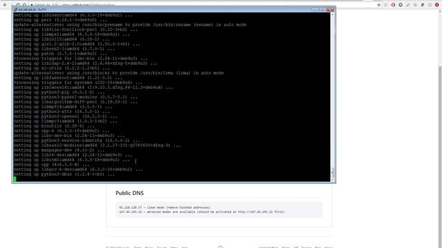 DNS4ALL - QUICK DEPLOY (DNS that filtering blocked in Russia addresses) смотреть онлайн