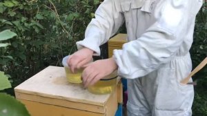 ЭФФЕКТИВНАЯ КОРМУШКА ДЛЯ ПЧЕЛ / ОСЕННЯЯ ПОДКОРМКА ПЧЕЛ