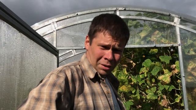 УМНАЯ ТЕПЛИЦАКРАТКИЙ ОБЗОР