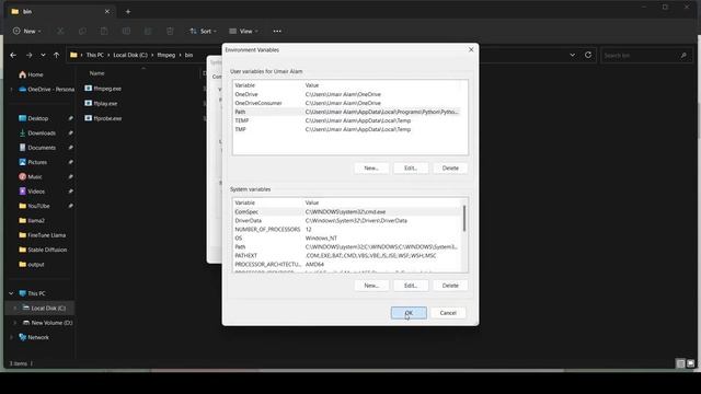 Roop Local Install | Face Swap Any Video with FREE AI Tool (Deepfakes) | Face Swap Video App смотреть онлайн