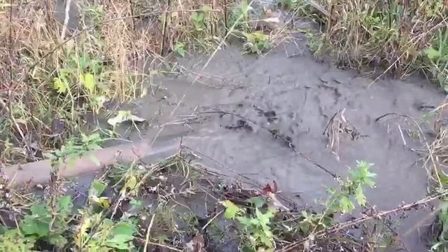 Откачка ила смотреть онлайн