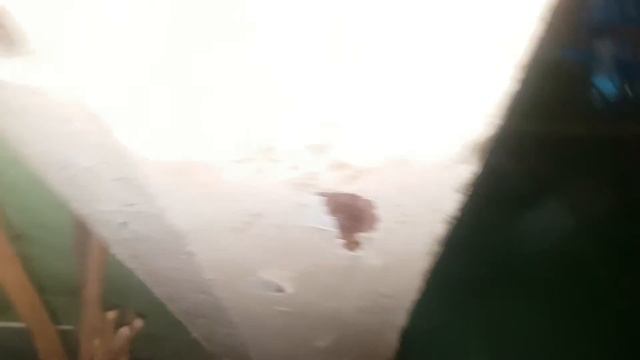 СОРОКОНОЖКА КОТОРАЯ ЕСТ ТАРАКАНОВ. МУХОЛОВКА ДОМАШНЯЯ смотреть онлайн