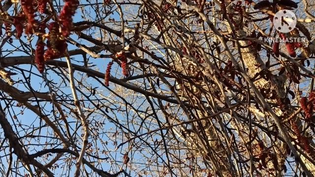 Кристина Мотиватор.Проверила по живому есть ли аллергия у Стива или он врет.Никого не жалко