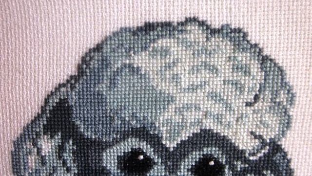 ПУДЕЛЬ СЕРЕБРИСТЫЙ смотреть онлайн