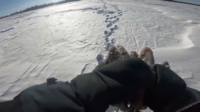 УХ И ТЯНЕТ! ЧУДО ОЗЕРО НЕ ПЕРЕСТАЁТ УДИВЛЯТЬ!