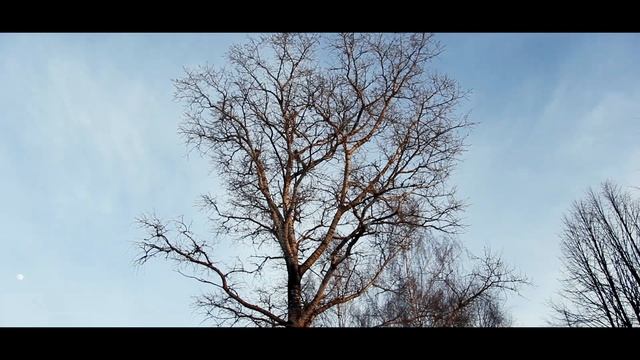 Вербилки. Март 2019 смотреть онлайн