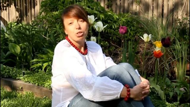 Мудрая пчела сон на ульях смотреть онлайн