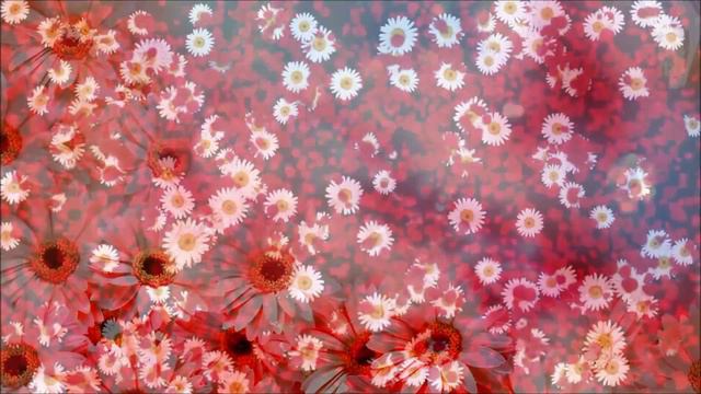 Красивое поздравление в День рождения! смотреть онлайн