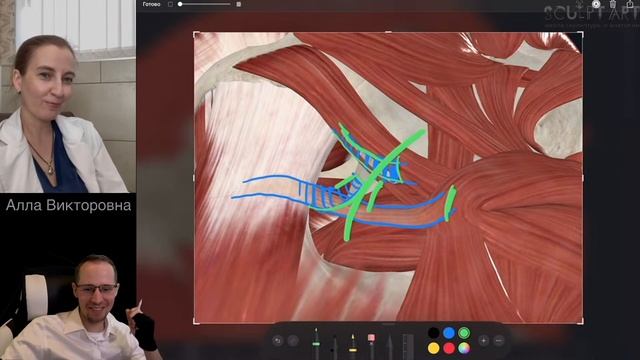 САППФ. Поток 14. Встреча 4. 2023.08.06 смотреть онлайн