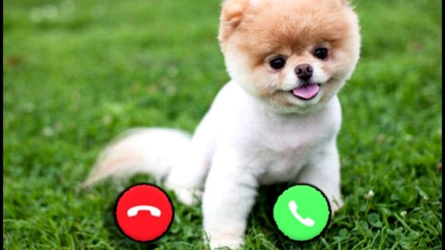 Абэ Яар Эк Аур Сообщение Рингтон || Милый Ребёнок Мелодия Голосового Сообщения смотреть онлайн