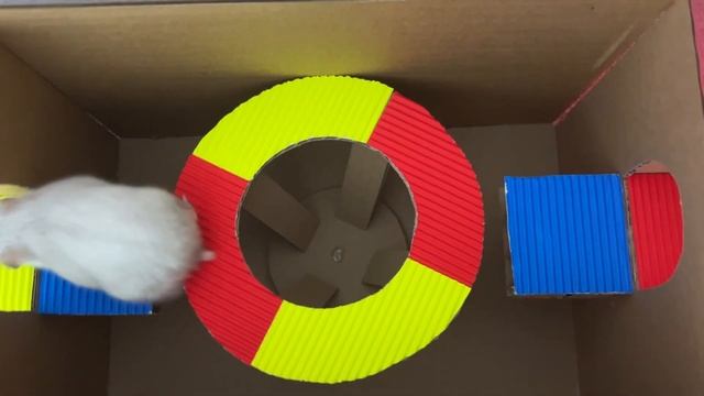 Prison Escape Hamster Maze ? Hammy the Hamster смотреть онлайн