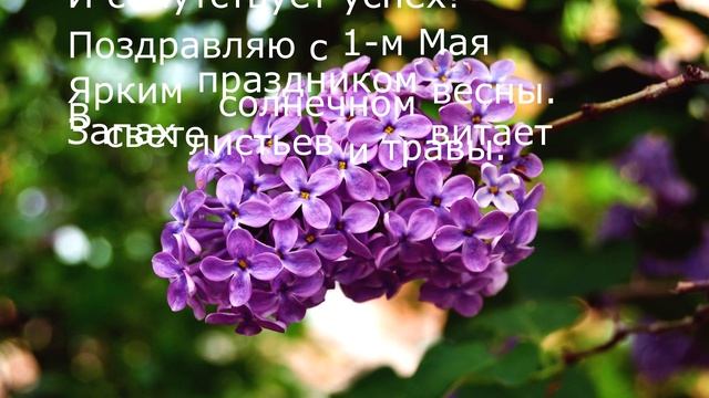 Музыкальная открытка С праздником 1 мая Праздник Весны и Труда Поздравление смотреть онлайн