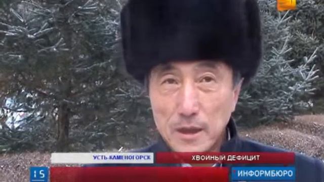 В ВКО не выявили ни одного факта незаконного сруба ёлок смотреть онлайн