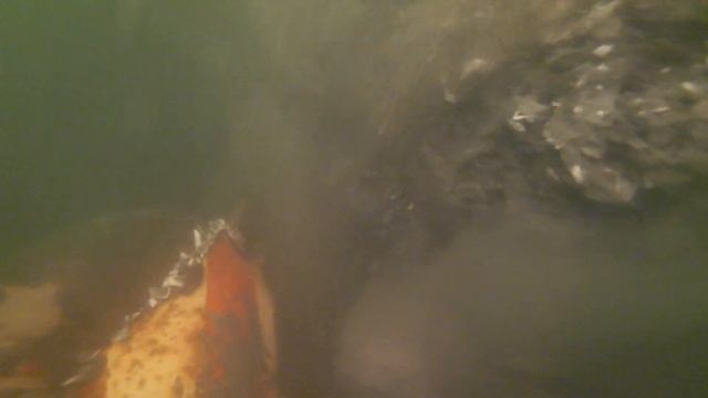 ООО ПодводГидроСтрой водолазные работы работа грунтососа смотреть онлайн