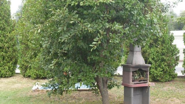 Holiday home Szántód 37 - Szántód - Hungary смотреть онлайн