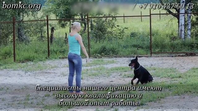 Методический кинологический центр смотреть онлайн