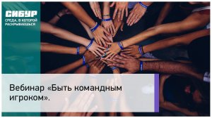 Вебинар: «Быть командным игроком»