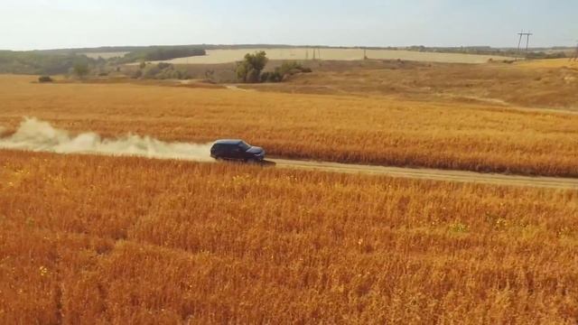 Снимаем свадьбы правильно :) смотреть онлайн