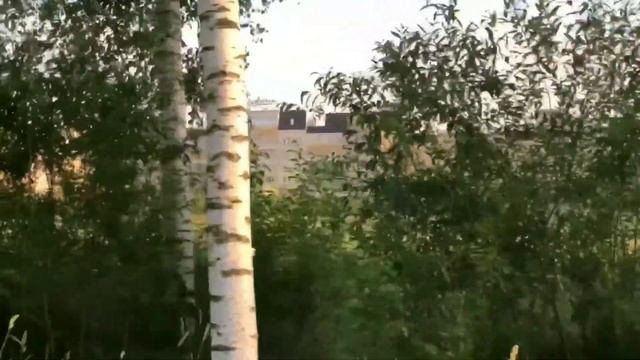 Видеообзор: Загородный комплекс отдыха "Завидово" смотреть онлайн