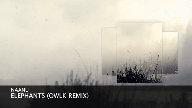Naanu - Elephants (OWLK Remix) [Melodic House & Techno] смотреть онлайн