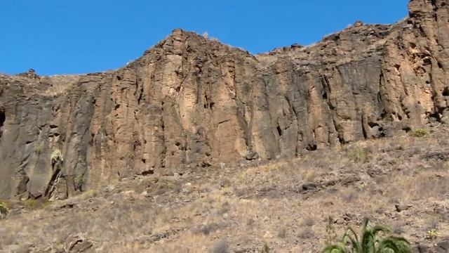 Palmitos Park - Entry смотреть онлайн