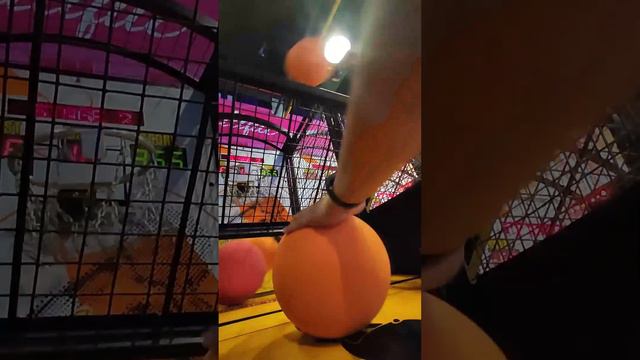 706 Points | 5 Balls | Street Basketball Arcade w/ Broken Sensor @ Funworld Royal Plaza (28.07.2022 смотреть онлайн