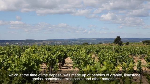 The famous rounded stones of Châteauneuf-du-Pape смотреть онлайн