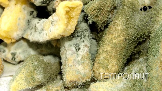 Organic French Fries Timelapse
