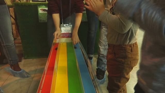 Мир бабочек. Путешествие в экзопарк смотреть онлайн